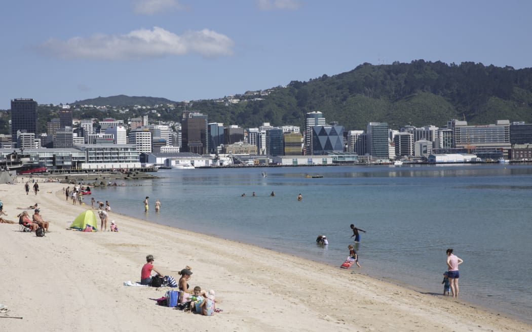 Summer Wellington