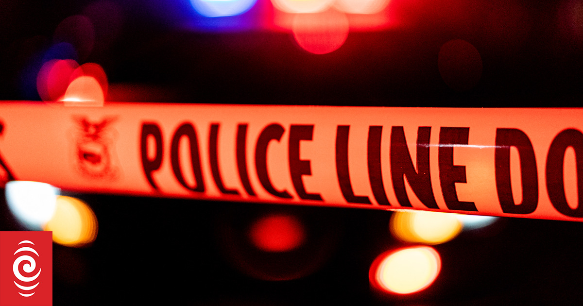 Four dead, at least 20 injured in South Carolina shooting