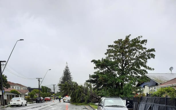 In pictures: Wild weather wreaks havoc across Wellington Region | RNZ