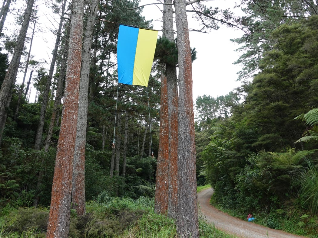 Ukraine flag hung up by Northland residents.