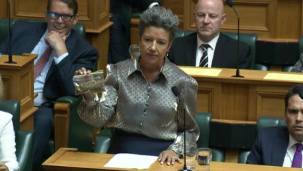 Paula Bennett in the House of Parliament with 14 grams of a cannabis lookalike.