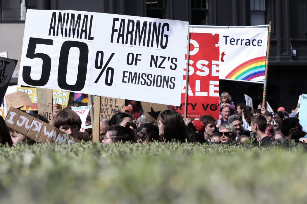 Banners arriving at a Climate Strike protest at Parliament. The foremost banner reads "Animal Farming 50% of NZ's Emissions"