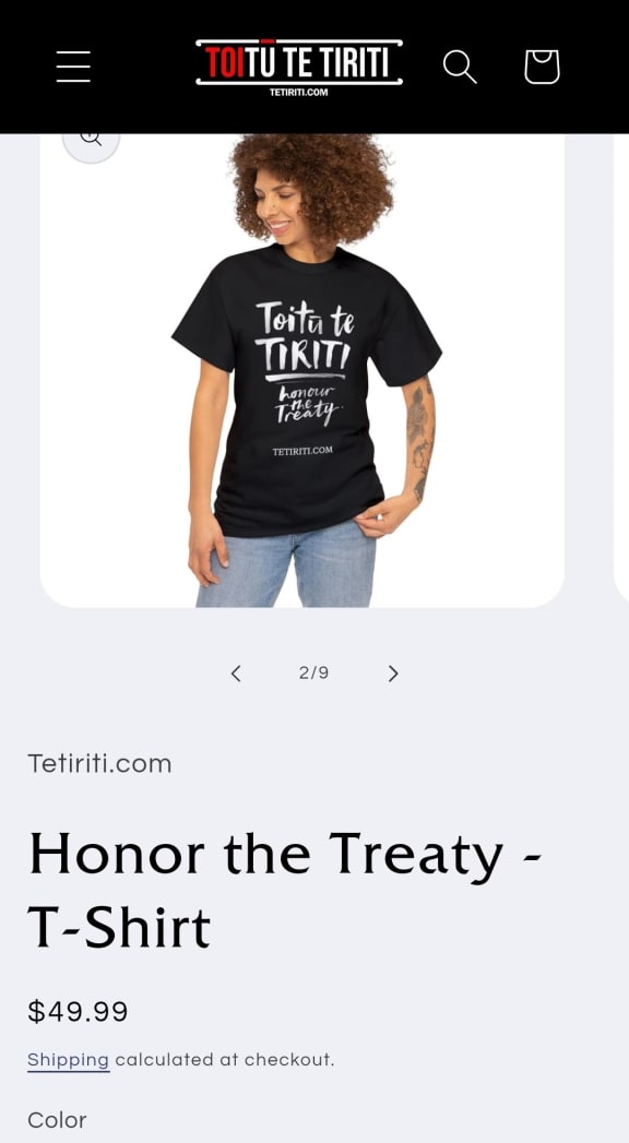 Screenshot from the scam website