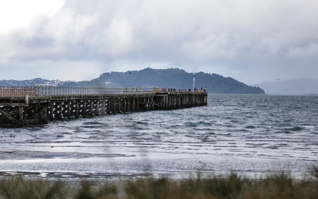 Petone wharf, Wellington.