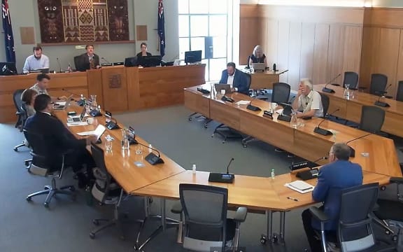 Strategic advisor Bruce Hodgins telling a Hutt City Council meeting residents could "stop pooing" to ease the Seaview stench problem.