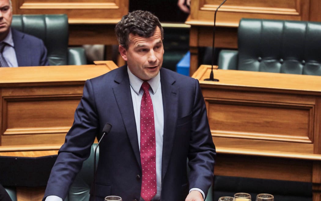 Treaty Principles Bill The speeches and suspensions RNZ News