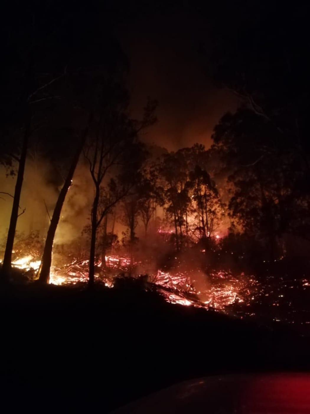 Australia bush fire
