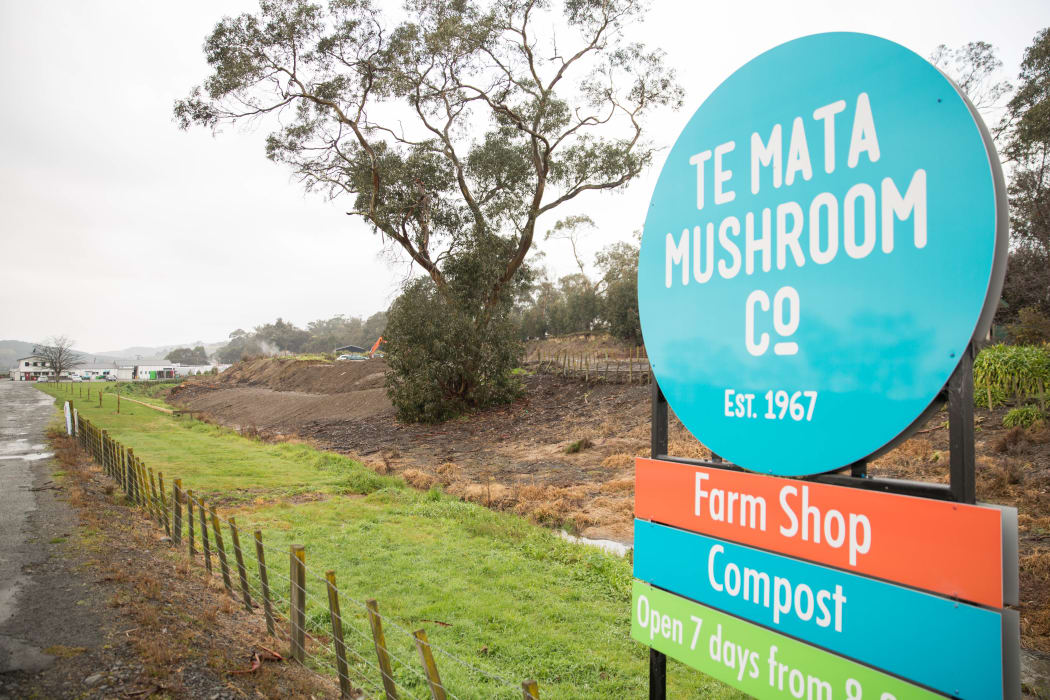 Te Mata Mushroom Company in Havelock North