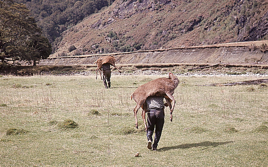 Two men carrying dead deer