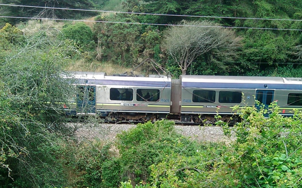 A train has become stuck north of Wellington after a tree fell on overhead lines.