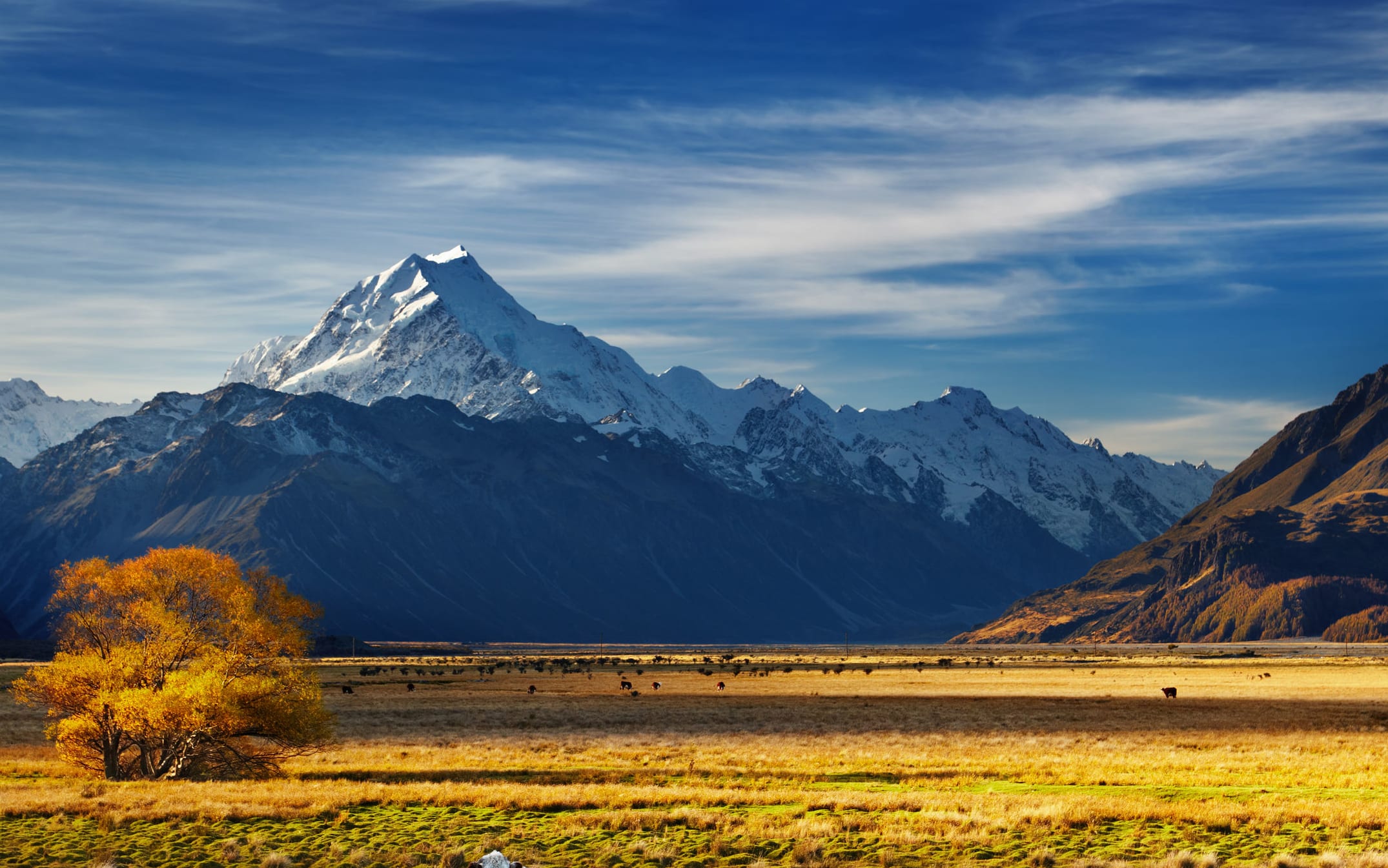Farm land near Mt Cook, Canterbury.