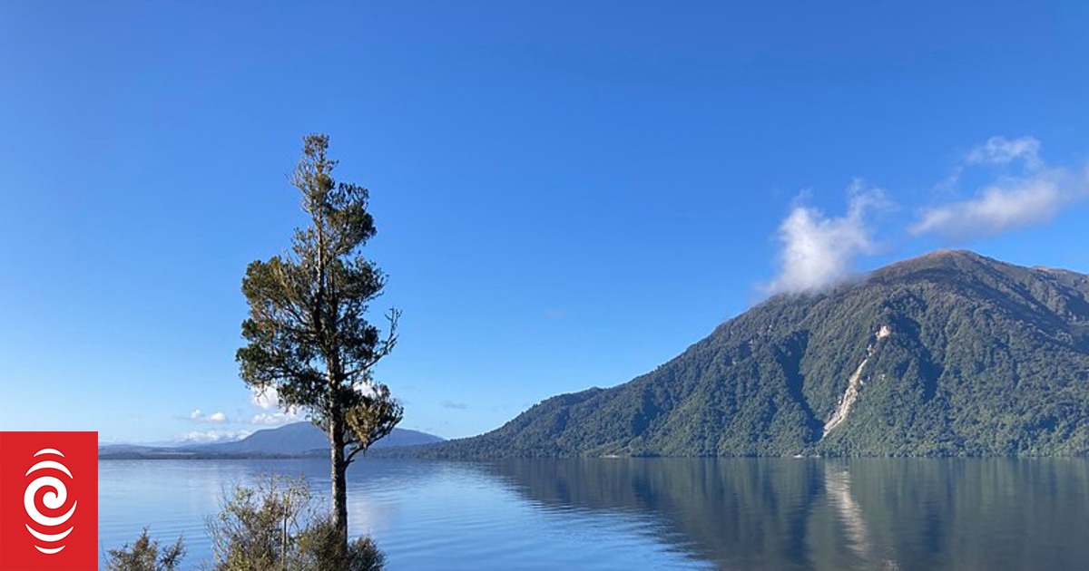 One dies in crash near Lake Brunner, road closed RNZ News
