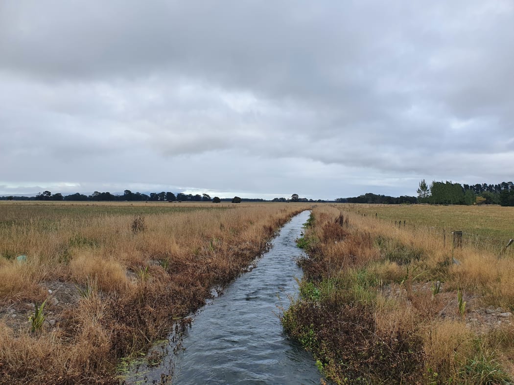 A water race in South Wairarapa