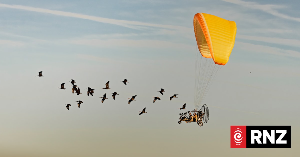 In pictures: The best photos of scientists at work