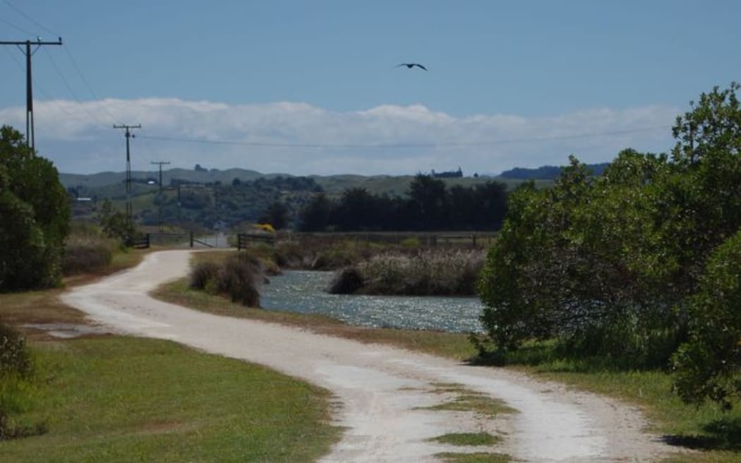 Napier Cycle Trail