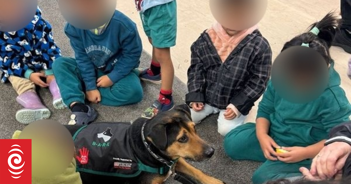 Kids learn dog safety lessons, as roaming attacks continue