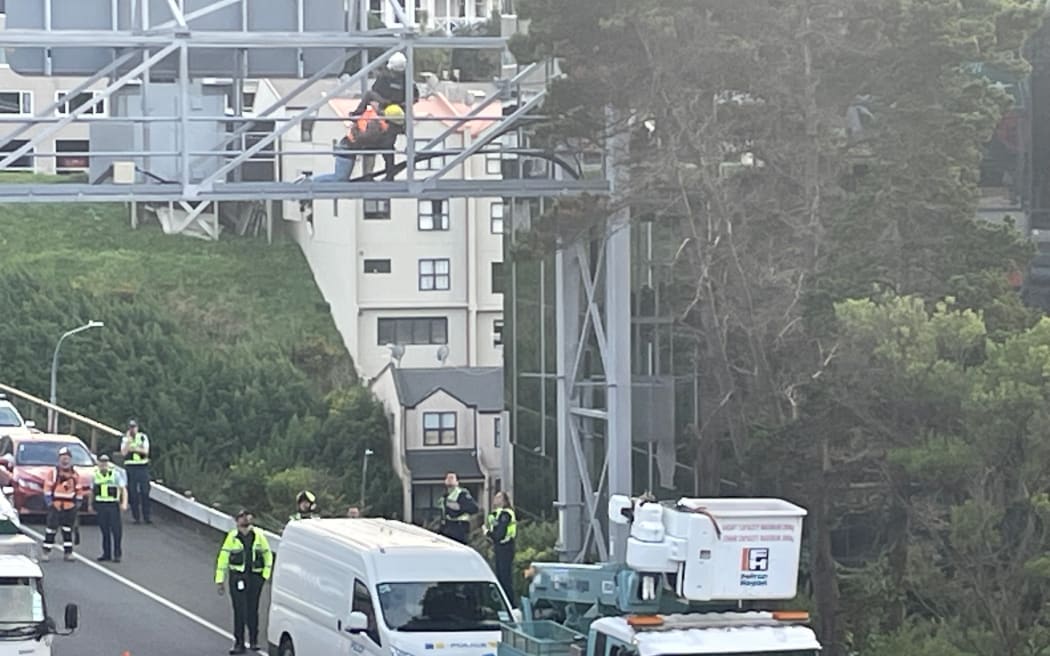 A protester is handcuffed and dragged from the gantry above Wellington's urban motorway