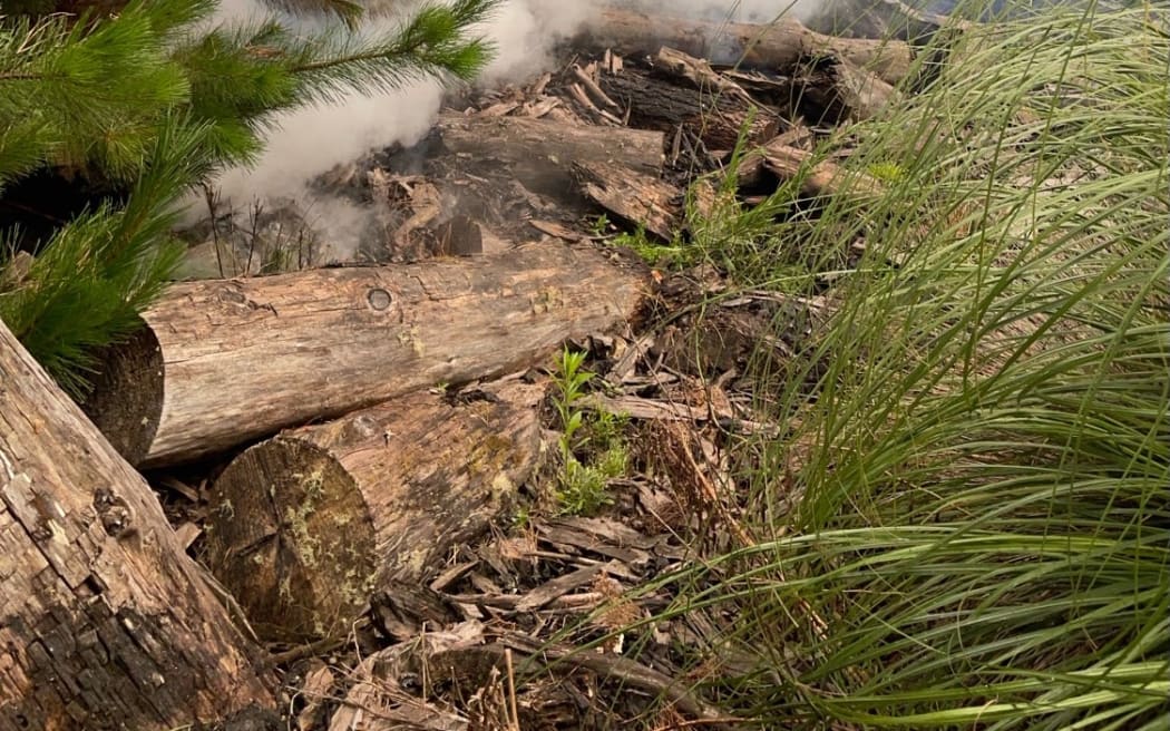 A fire near Parewānui - southeast of Bulls - burned through a hectare of ten year old standing pine before it was contained.