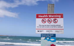 Untreated water is leaking onto the capital’s south coast beaches due to the Moa Point Treatment Plant flooding and being turned off from early this morning.