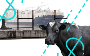 Collage of cow, cargo ship and dollar signs