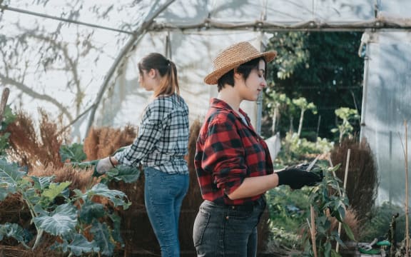 two women working with plants