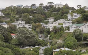 RNZ/Reece Baker