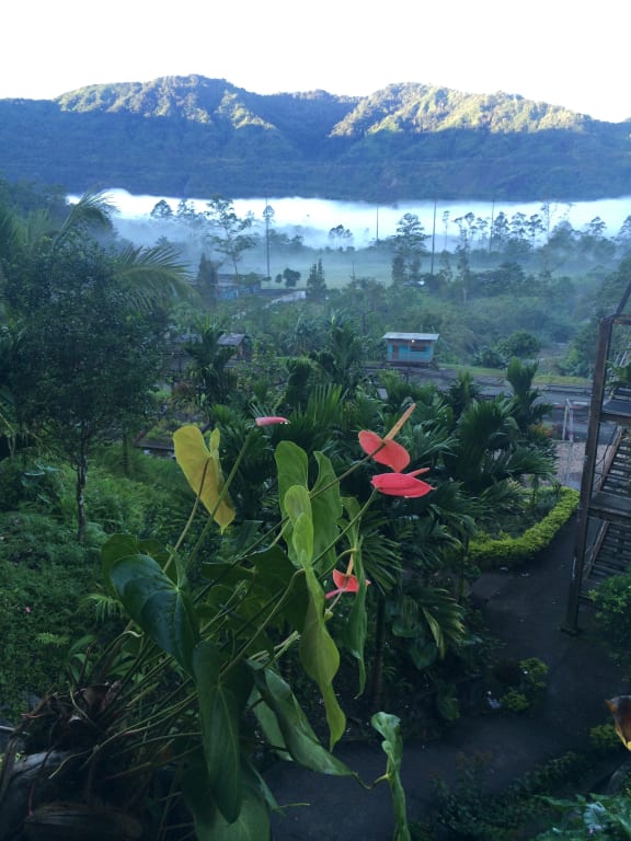 Panguna