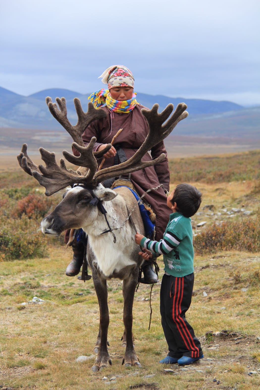 Our Own Odysseys: The Reindeer Tribe