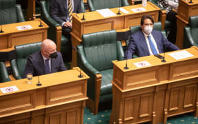 Christopher Luxon and Simon Bridges