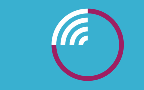 Nine to Noon flag, as voted for by listeners