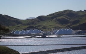 Mountains of harvested salt at Lake Grassmere
