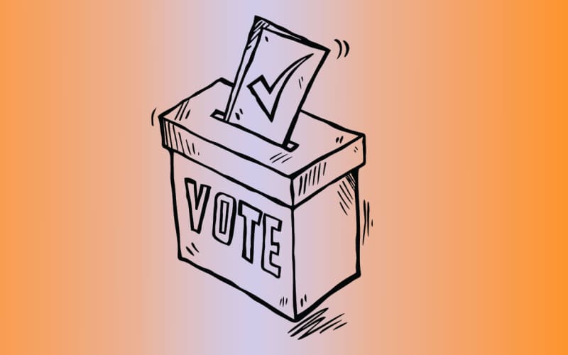 Why some Aucklanders get extra votes in local election | RNZ