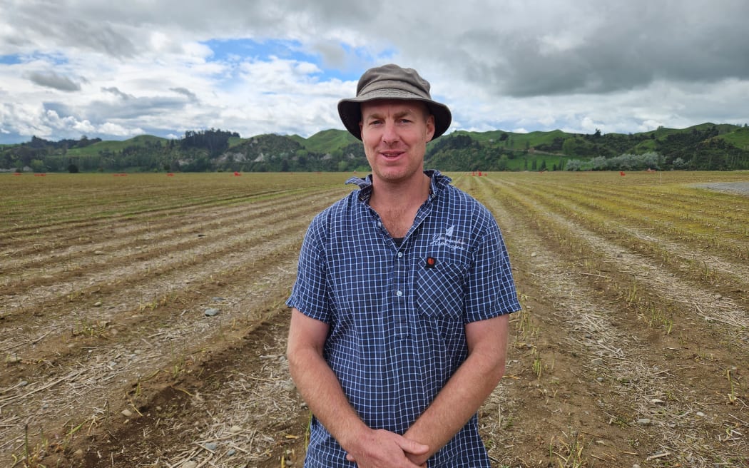 Sam Rainey, manager of Mangaweka Asparagus