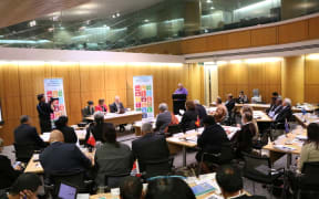 More than 30 delegates from Pacific countries met in Wellington to discuss prioritising sexual and reproductive health in the UN sustainable development goals.