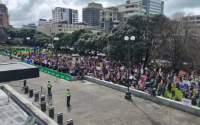 Protesters outside Parliament.