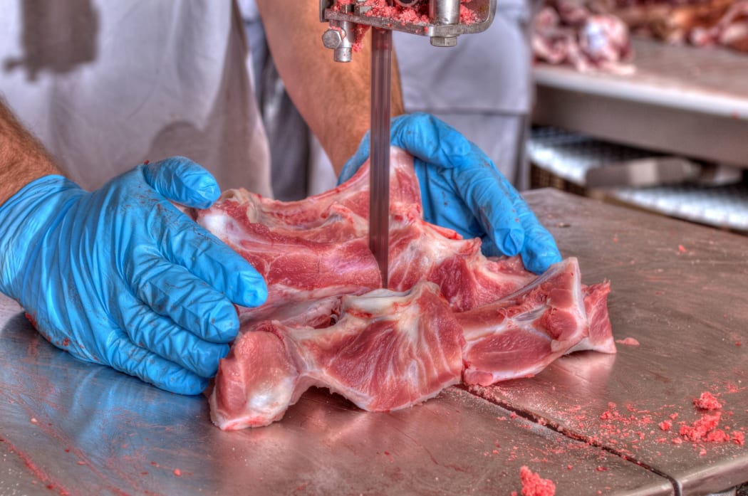 18717579 - close up of meat processing in food industry