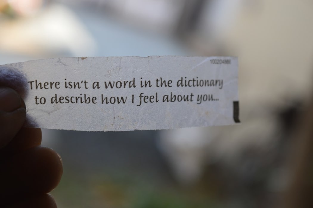 The positive lexicography project.