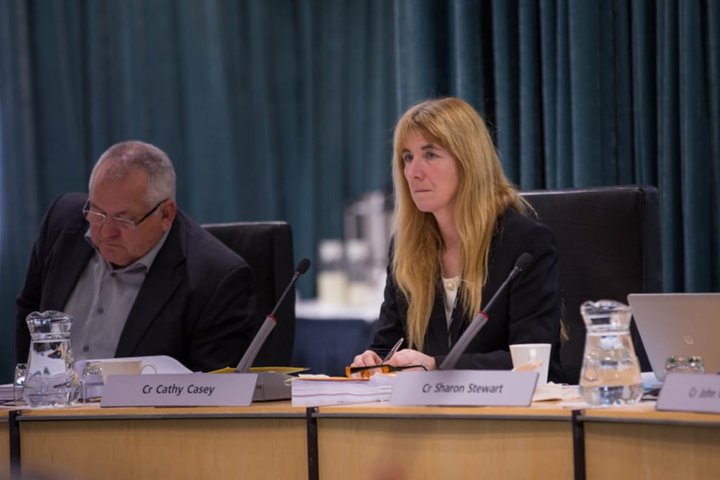 Cathy Casey at a Council meeting about the Unitary Plan. 10 August 2016.