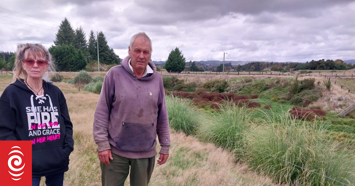 'Bolshie approach' over pampas grass upsets West Coast landowners - Vimarsana News