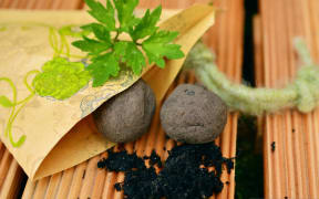 Seed bombs