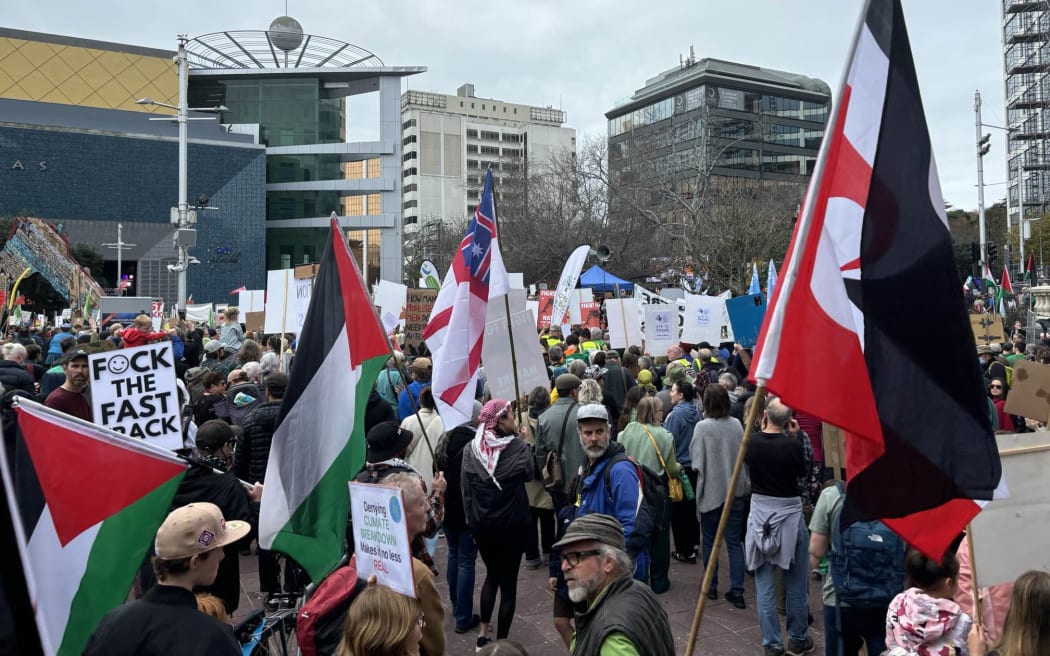 People holding placards and flags protest against the government's Fast Track Bill in Aotea Square on 8 June 2024.