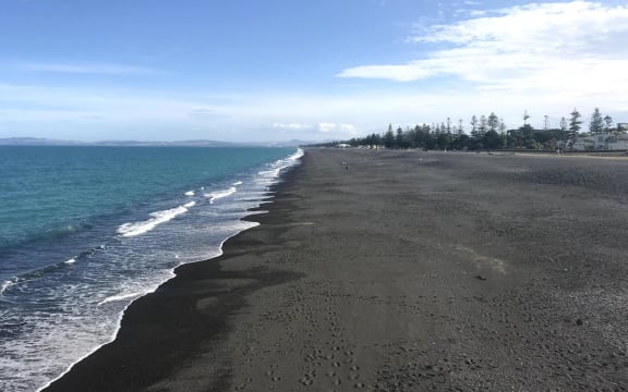 Napier shoreline