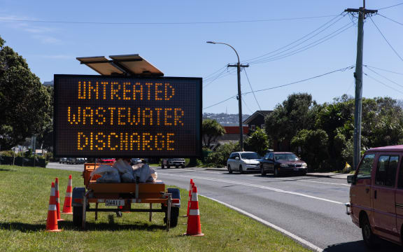 Signage on Wellington's Lyall Bay