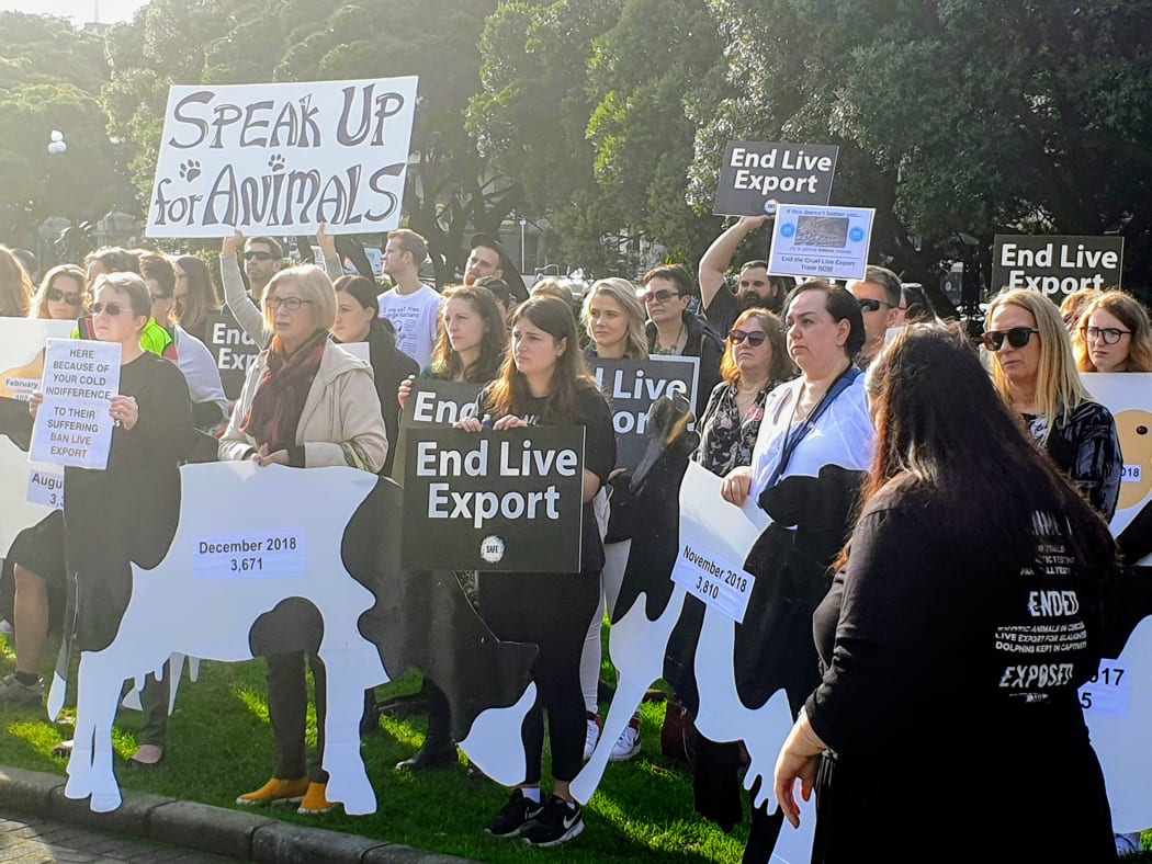 A protest organised by SAFE outside Parliament, calling for an end to the export of live farm animals.