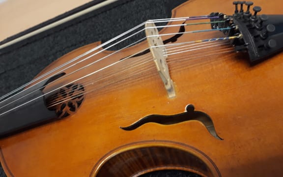Donald Maurice's viola d'amore