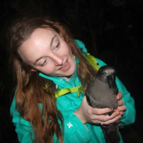 Jessica Russell holding a Providence Petrel on Lord Howe Island