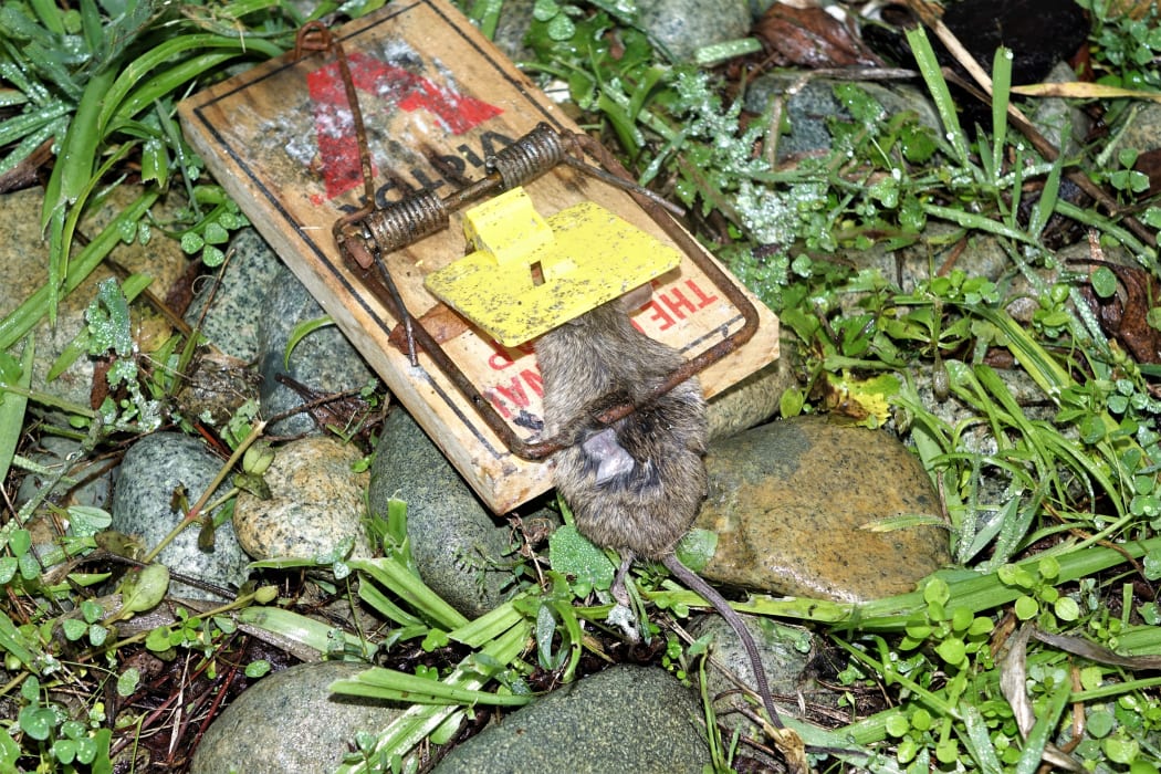 A grisly end.
