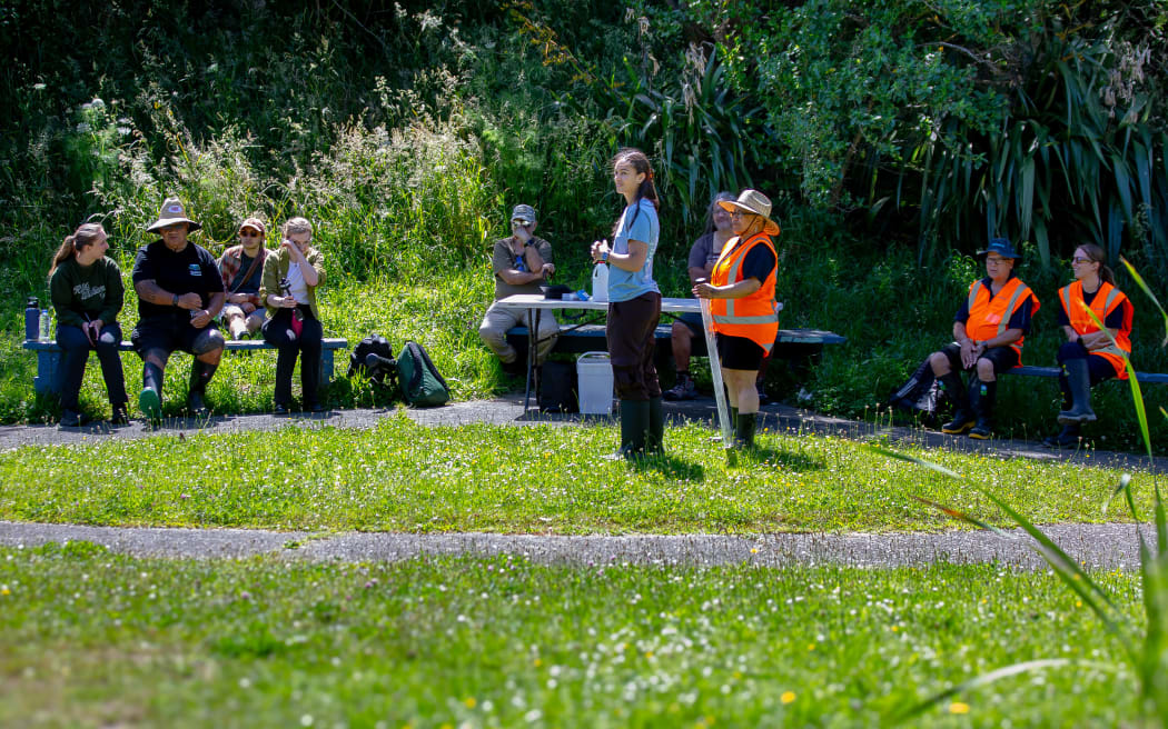 water monitoring & planting trees for a better future in Cannon's Creek