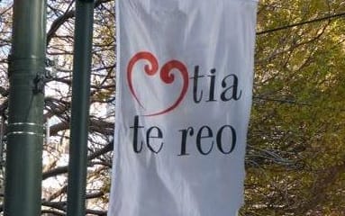'Love the language' flags are flying in Wellington / Te Whanganui-a-Tara.