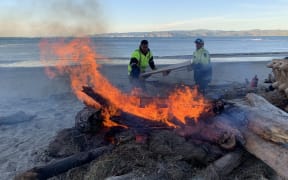 Bonfire in Gisborne to mark start of Tuia 250